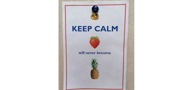 Waarom mensen niet hun gedrag veranderen – een aardbei wordt geen ananas. gedrag veranderen